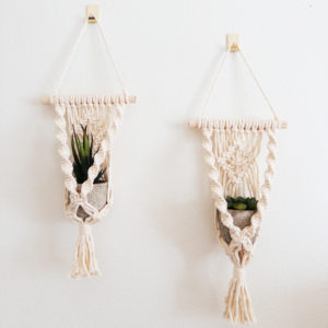 Succulent macrame wall hangings