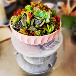 Geometric Succulent Planter