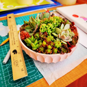 Succulent planter workshop