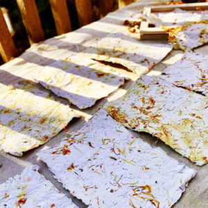 handmade paper with herbs flowers