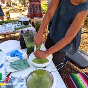 Learn to dye with fresh indigo with San Diego Craft Collective