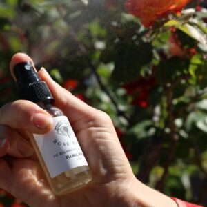 Learn Distillation and Hydrosol Making with Audrey Herrington at San Diego Craft Collective